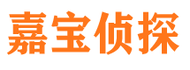 武都市调查公司